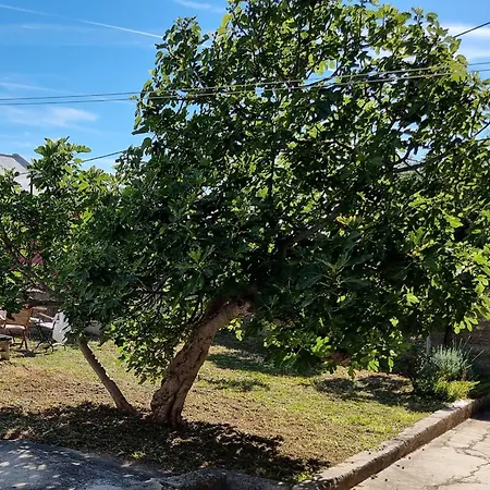 Appartamento Enjoy Split, New In The Center With A Private Garden